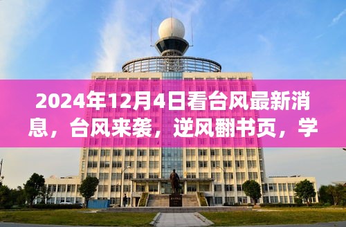 台风来袭下的自信成长之旅，逆风翻书页，学习变化中的最新消息与成就感