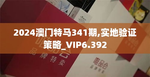 2024澳门特马341期,实地验证策略_VIP6.392