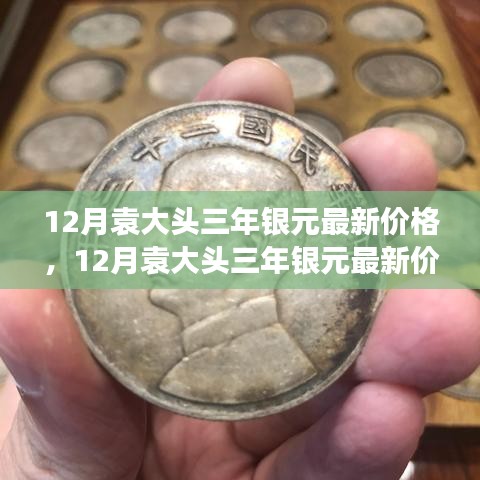 12月袁大头三年银元最新价格及市场走势分析与投资指南