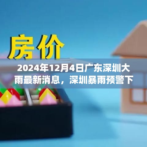 广东深圳暴雨下的科技新星，智能气象监测系统与科技革新的体验（2024年12月4日最新消息）