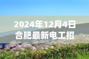 2024年12月6日 第15页