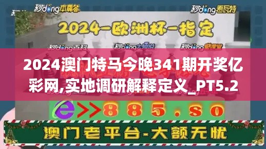 2024澳门特马今晚341期开奖亿彩网,实地调研解释定义_PT5.290