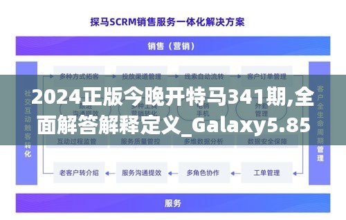 2024正版今晚开特马341期,全面解答解释定义_Galaxy5.858