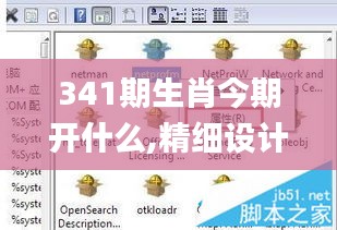 341期生肖今期开什么,精细设计解析策略_NE版2.549