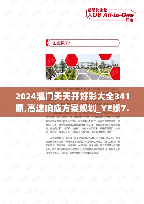 2024澳门天天开好彩大全341期,高速响应方案规划_YE版7.409