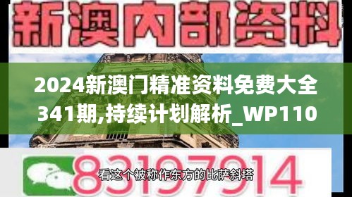 2024新澳门精准资料免费大全341期,持续计划解析_WP110.377