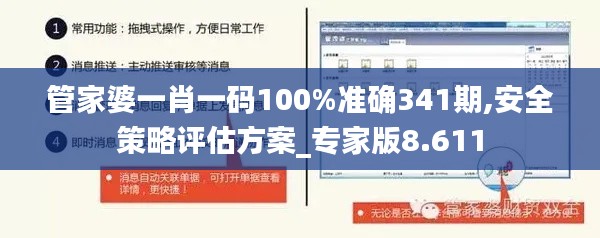 管家婆一肖一码100%准确341期,安全策略评估方案_专家版8.611