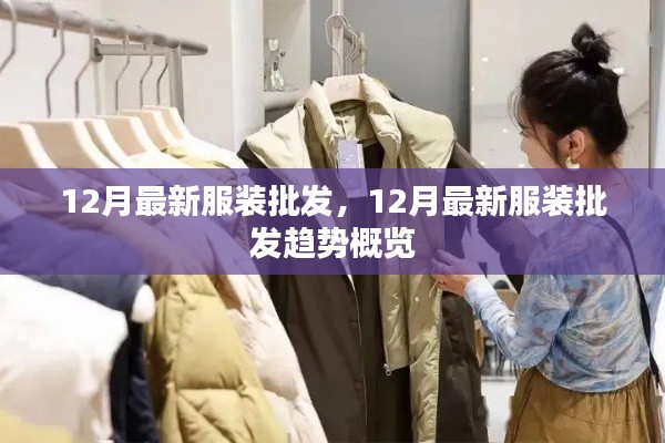 12月最新服装批发趋势概览，引领潮流的批发市场动态