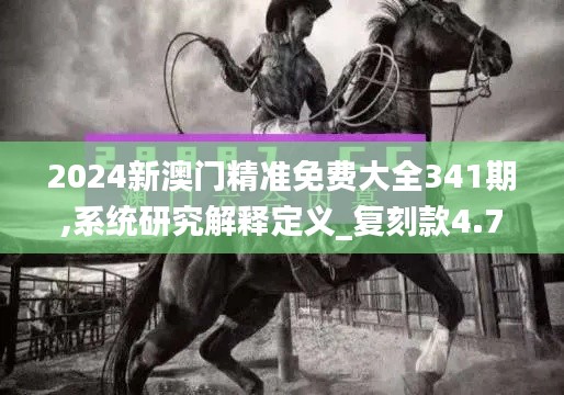 2024新澳门精准免费大全341期,系统研究解释定义_复刻款4.735