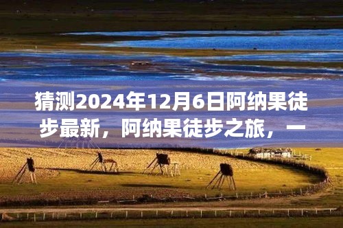 阿纳果徒步之旅，温馨有趣的未来之旅预测（2024年12月6日）