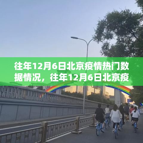 往年12月6日北京疫情数据详解，热门数据查询与分析技能全攻略（初学者与进阶用户适用）