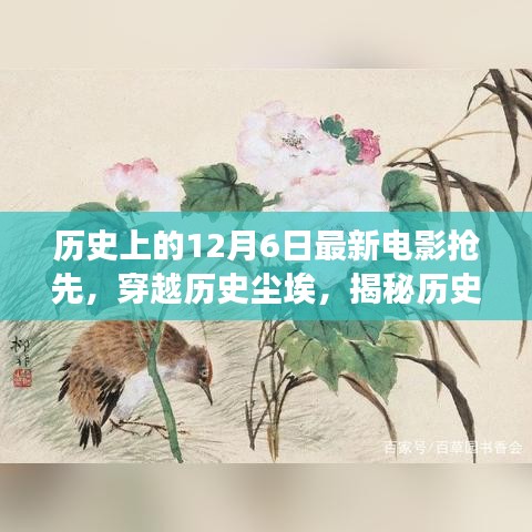 揭秘历史上的十二月六日，电影背后的故事抢先揭晓