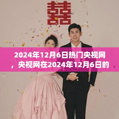 央视网辉煌时刻，回顾2024年12月6日的背景、事件与影响力