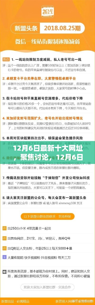 12月6日最新十大网址聚焦讨论与利弊分析