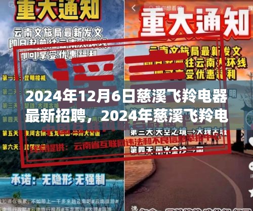 慈溪飞羚电器最新招聘启事，探寻未来职业新机遇（2024年）