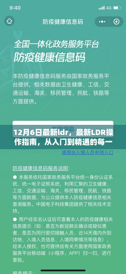 最新LDR操作指南，从入门到精通的详细步骤（12月6日更新）