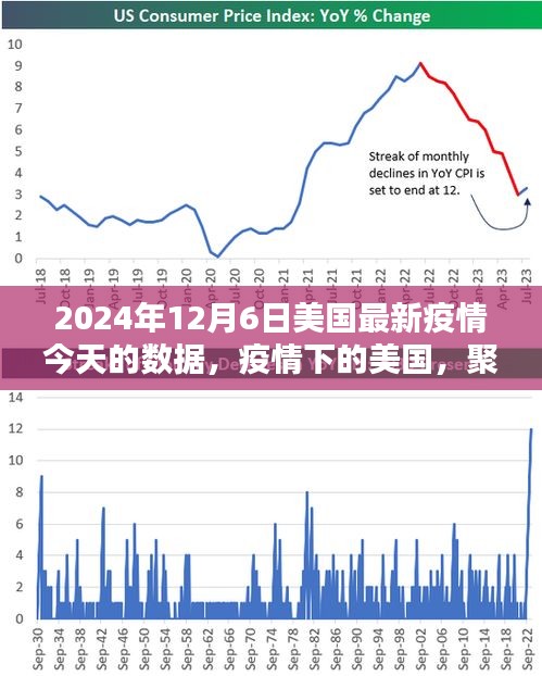 美国疫情聚焦，2024年12月6日最新数据揭示疫情深远影响