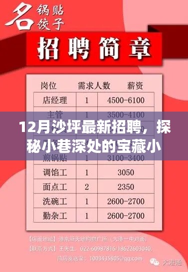 探秘宝藏小店，沙坪十二月最新招聘惊喜之旅