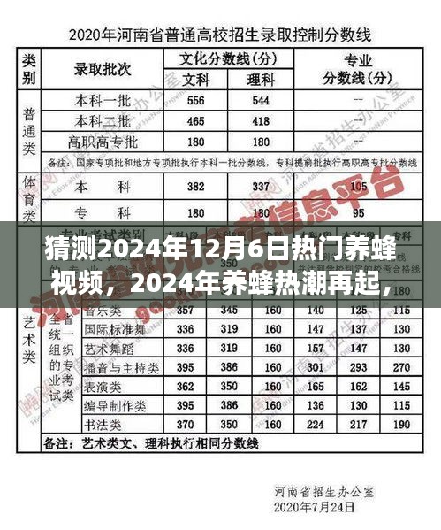 猜测2024年12月6日热门养蜂视频，2024年养蜂热潮再起，一场关于蜜蜂与养蜂人的视觉盛宴