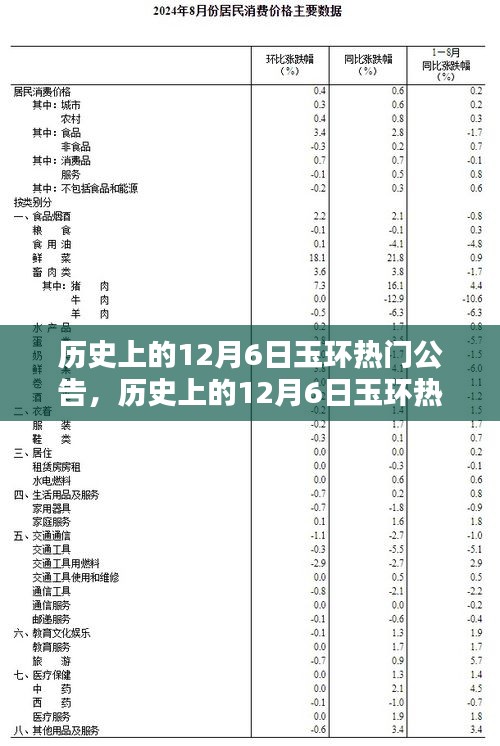 历史上的12月6日玉环热门公告深度解析，特性、体验、对比及用户群体全面剖析