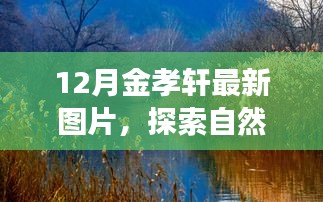 金孝轩十二月最新图片，与自然美景的探险之旅，宁静角落的共赴时光