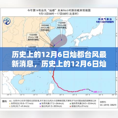 历史上的12月6日灿都台风动态，最新消息与深度分析