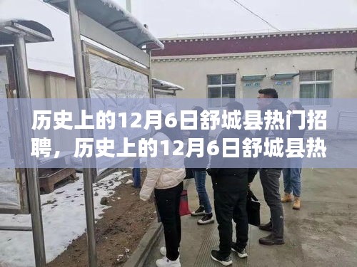 历史上的12月6日舒城县热门招聘全景解析与概览