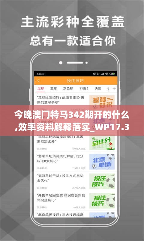 今晚澳门特马342期开的什么,效率资料解释落实_WP17.380