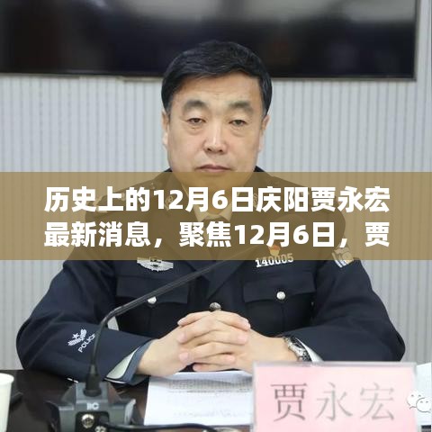 12月6日聚焦贾永宏事件，最新消息深度解读与个人观点阐述