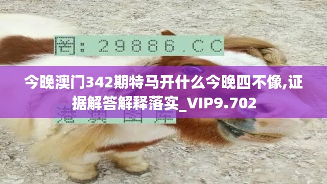 今晚澳门342期特马开什么今晚四不像,证据解答解释落实_VIP9.702