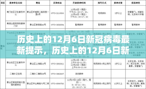 历史上的12月6日新冠病毒最新提示，全面防护指南与行动步骤