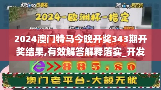 2024澳门特马今晚开奖343期开奖结果,有效解答解释落实_开发版10.137