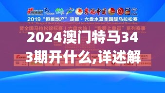 2024澳门特马343期开什么,详述解答解释落实_储蓄版10.928