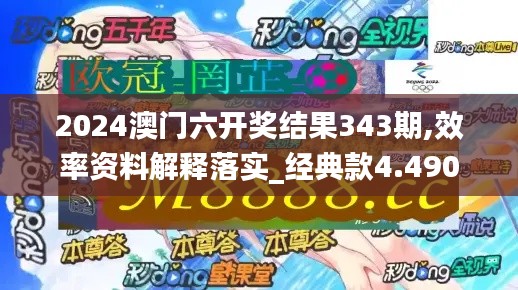 2024澳门六开奖结果343期,效率资料解释落实_经典款4.490