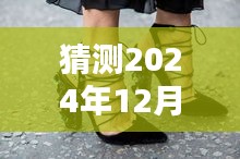 探秘时尚秘境，揭秘2024年12月6日值得期待的内裤潮流引领者及热门推荐