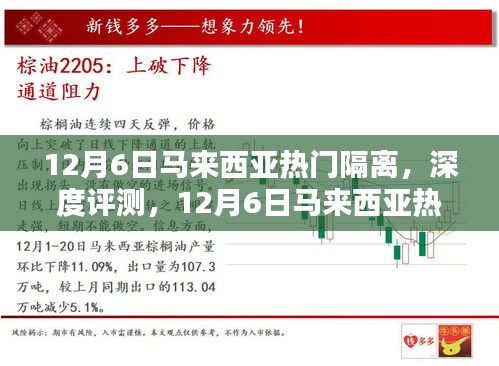 12月6日马来西亚热门隔离产品深度评测与体验解析