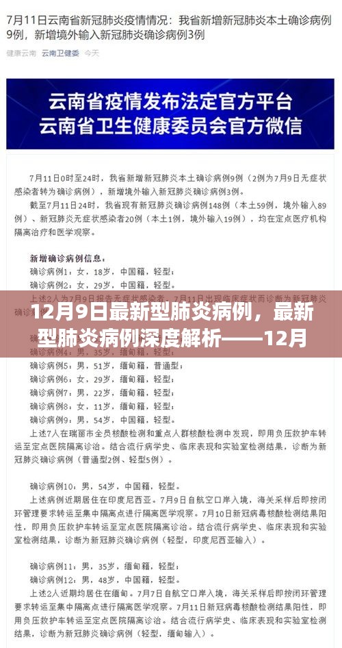 深度解析，最新型肺炎病例报告要点解读——最新动态与趋势分析（12月9日报告）