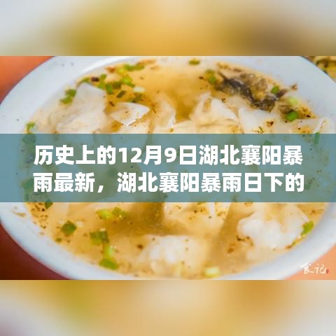 湖北襄阳暴雨日下的神秘小巷美食探秘，历史视角下的暴雨美食之旅