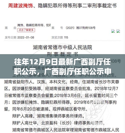 广西副厅任职公示申报流程详解，申报指南与步骤指引，最新公示时间解读