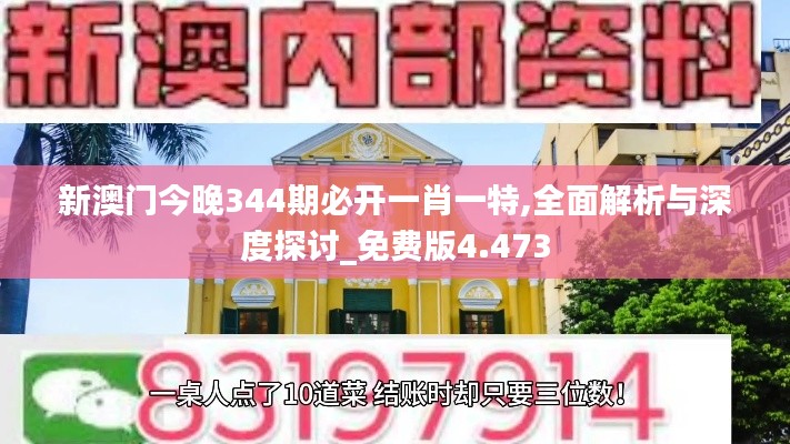 新澳门今晚344期必开一肖一特,全面解析与深度探讨_免费版4.473