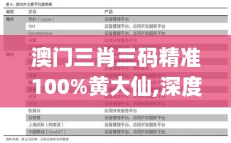 澳门三肖三码精准100%黄大仙,深度分析解释定义_KP10.487