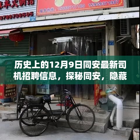 同安老街巷中的驾驶梦想与独特风味小店奇遇记，最新司机招聘信息揭秘