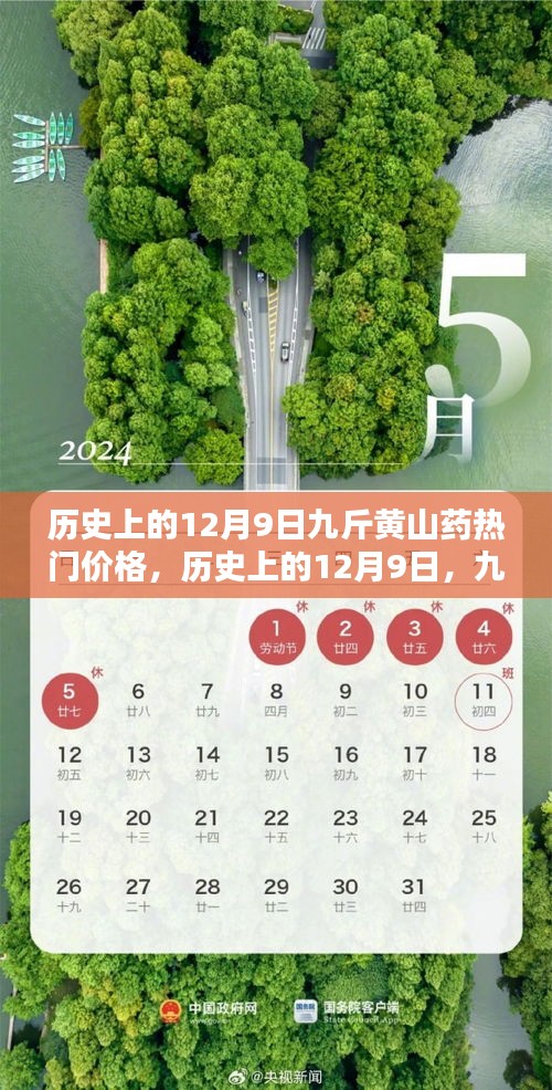 揭秘历史上的九斤黄山药热门价格，探寻12月9日的价格变迁之路