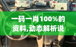 一码一肖100%的资料,动态解析说明_GT4.519