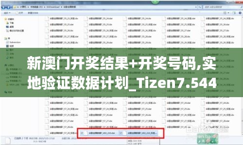 新澳门开奖结果+开奖号码,实地验证数据计划_Tizen7.544