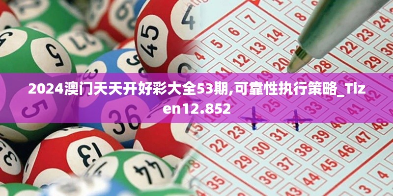 2024澳门天天开好彩大全53期,可靠性执行策略_Tizen12.852