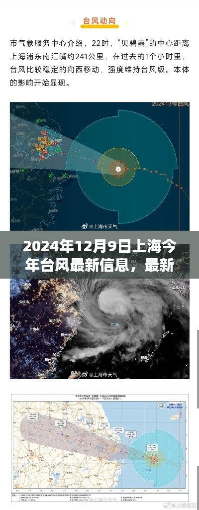 2024年台风动态及上海天气预报详解，最新资讯与预报