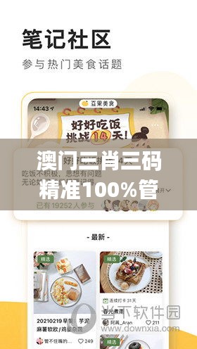 澳门三肖三码精准100%管家婆,决策资料解析说明_领航版2.857