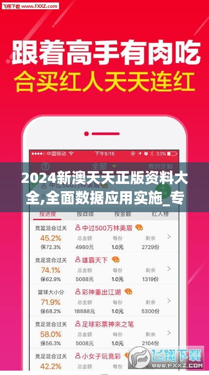 2024新澳天天正版资料大全,全面数据应用实施_专属款3.193