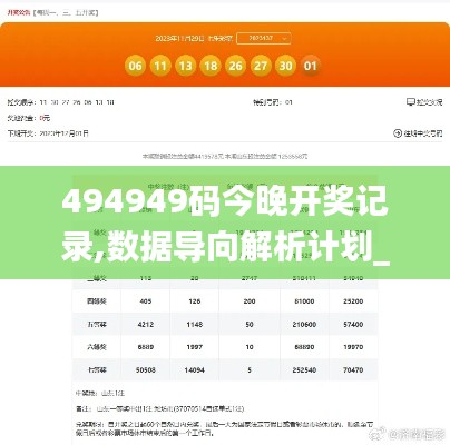 494949码今晚开奖记录,数据导向解析计划_移动版3.659